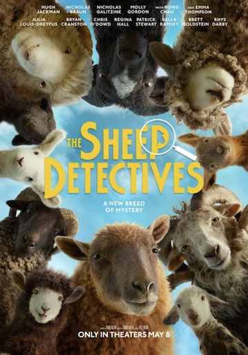 Sheep Detectives Small